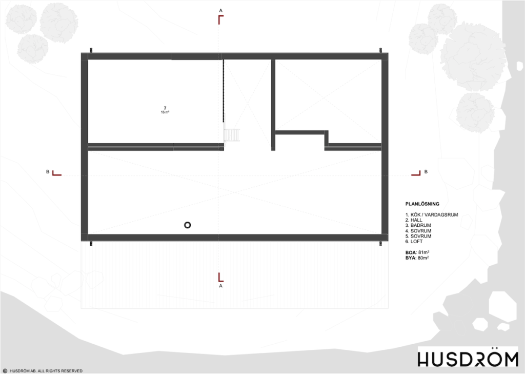Husdrom-Vinga80-loft